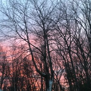 Meet your Posher, Tori